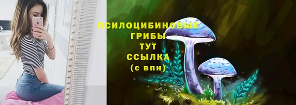 метамфетамин Гусиноозёрск
