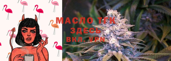 гашик Горно-Алтайск