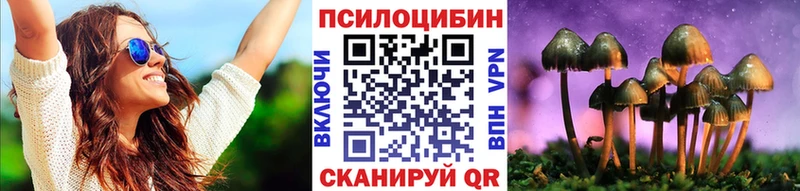 Галлюциногенные грибы MAGIC MUSHROOMS  купить наркоту  Мытищи 